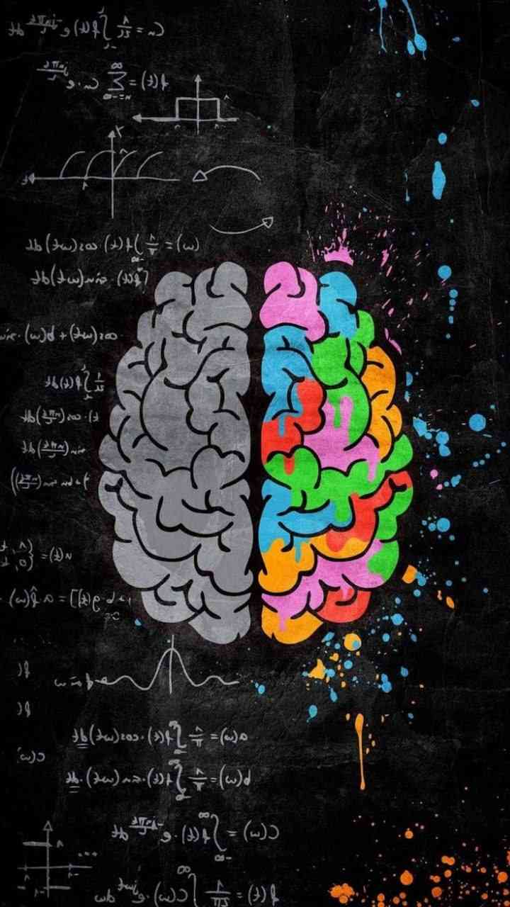 Left Right Brain Art Creative Drawing | MirrorLog